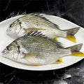 Frozen Wild-Caught Yellowfin Sea Bream